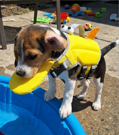 PoolPupco Dog Life Jacket