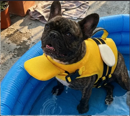 PoolPupco Dog Life Jacket